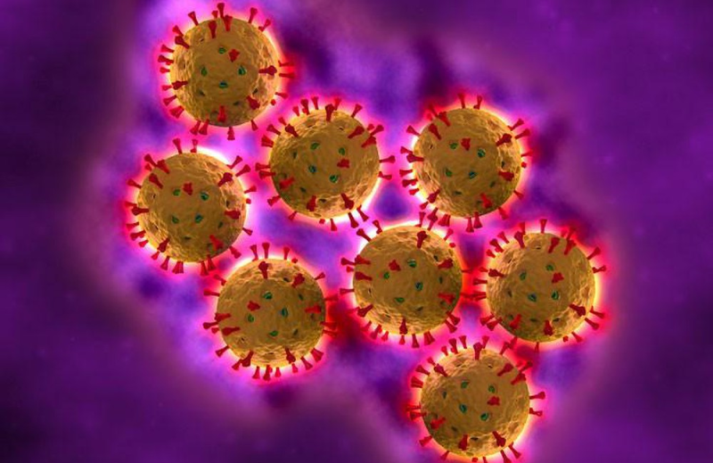 Hình 3: Rotavirus